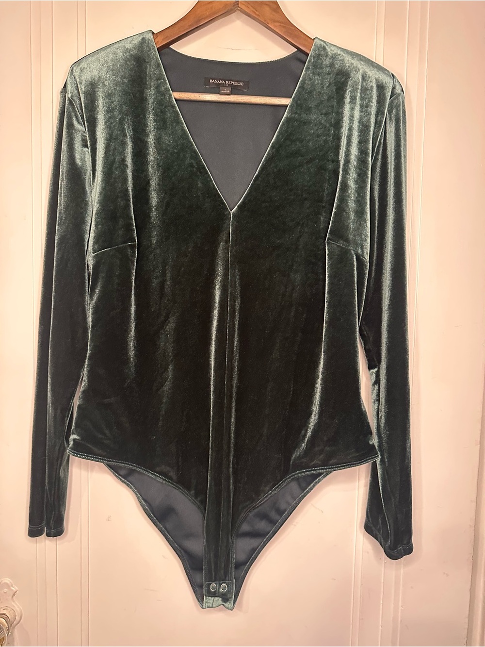 Banana Republic Velvet V-Neck Long-Sleeve Bodysuit in Forest Green